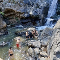 Tours éticos y ecológicos | interactuar con elefantes en Chiang Mai