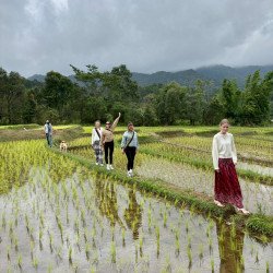 Tours éticos y ecológicos | interactuar con elefantes en Chiang Mai