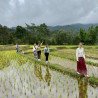 Tours éticos y ecológicos | interactuar con elefantes en Chiang Mai