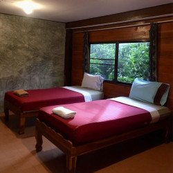 Tours éticos y ecológicos | interactuar con elefantes en Chiang Mai