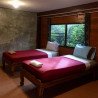 Tours éticos y ecológicos | interactuar con elefantes en Chiang Mai