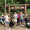 1 Día Elefantes + Doi Inthanon