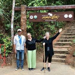 1 Día Elefantes + Doi Inthanon