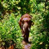 Half-day Afternoon Elephants Experience