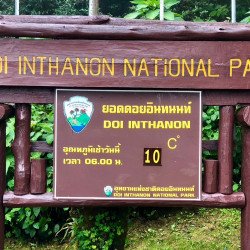 Elef + Trek + Doi 3d