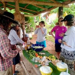 Chiang Mai: Rice Cultivation, Thai Cooking and Elephants