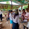 Chiang Mai: Rice Cultivation, Thai Cooking and Elephants